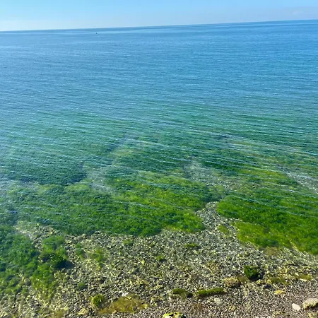 Seyran Seaside - 1-middle Floor * Trabzon