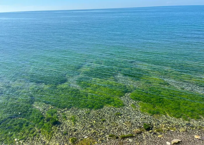 Seyran Seaside - 1-middle Floor * Trabzon